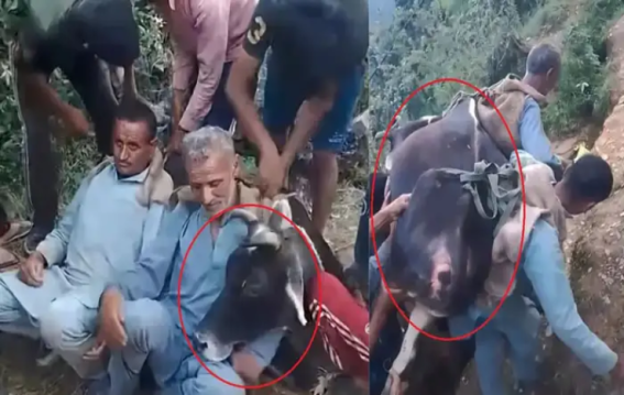 An example of humanity in Himachal